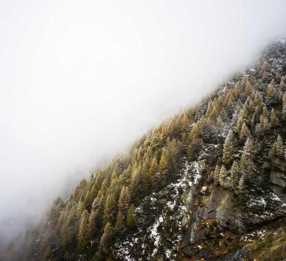 Voluptas culpa odio.